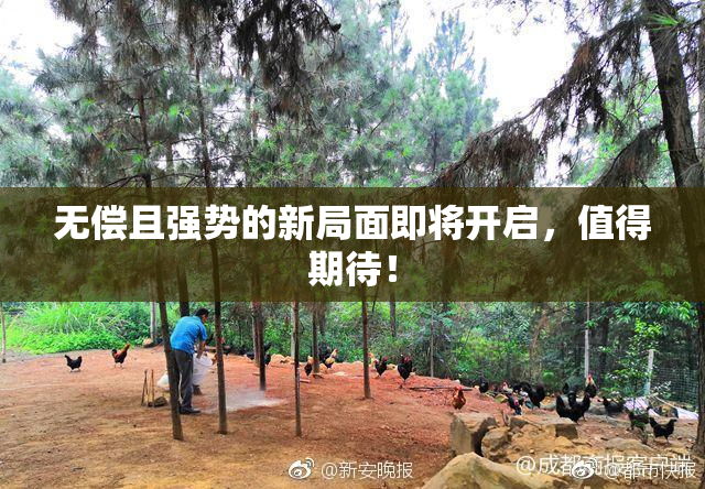 无偿且强势的新局面即将开启，值得期待！