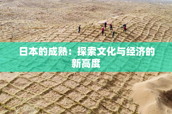 日本的成熟：探索文化与经济的新高度