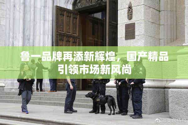 鲁一品牌再添新辉煌，国产精品引领市场新风尚