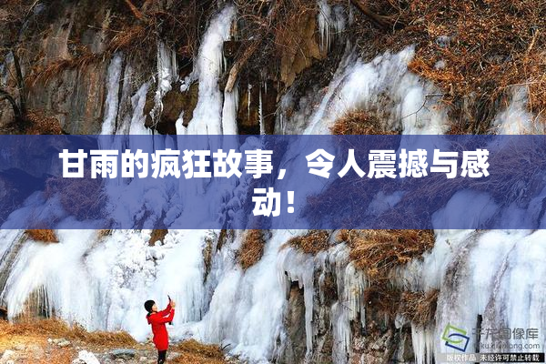甘雨的疯狂故事，令人震撼与感动！