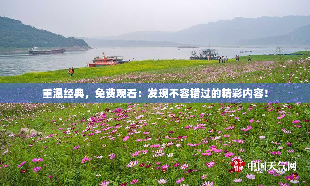 重温经典，免费观看：发现不容错过的精彩内容！