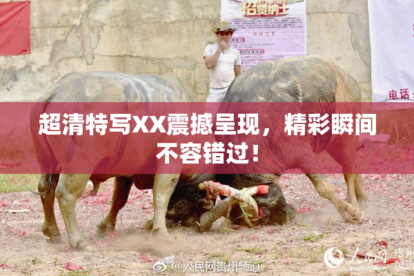 超清特写XX震撼呈现，精彩瞬间不容错过！