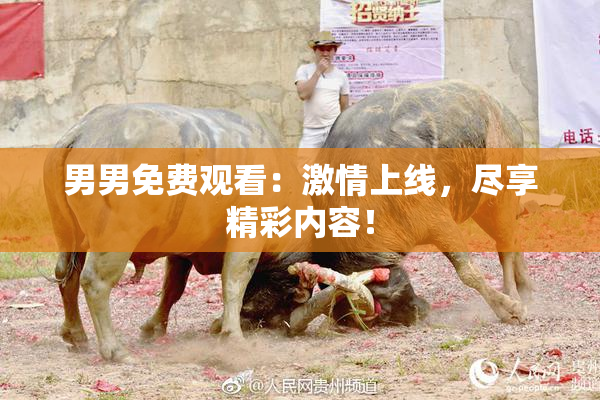 男男免费观看：激情上线，尽享精彩内容！