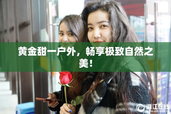 黄金甜一户外，畅享极致自然之美！