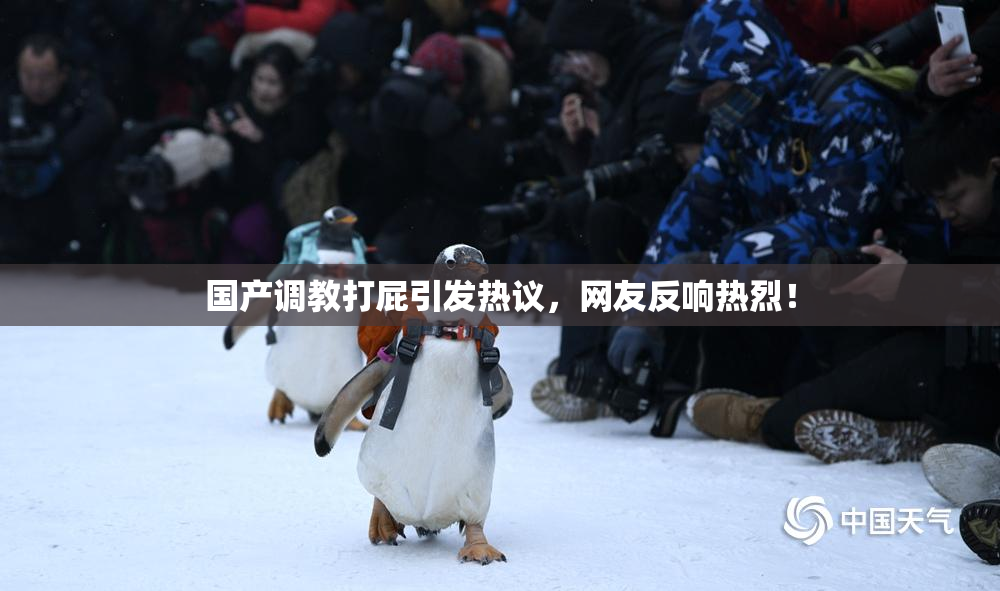 国产调教打屁引发热议，网友反响热烈！