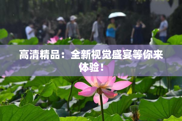 高清精品：全新视觉盛宴等你来体验！