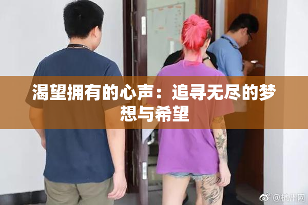 渴望拥有的心声：追寻无尽的梦想与希望
