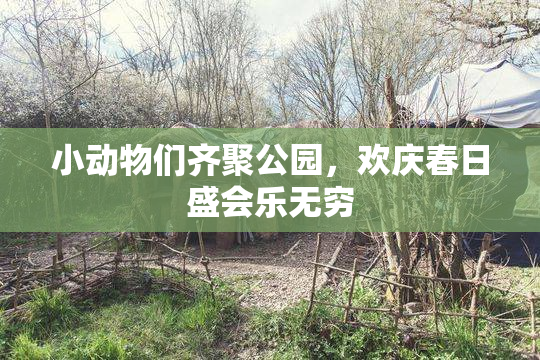 小动物们齐聚公园，欢庆春日盛会乐无穷