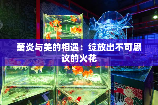 萧炎与美的相遇：绽放出不可思议的火花