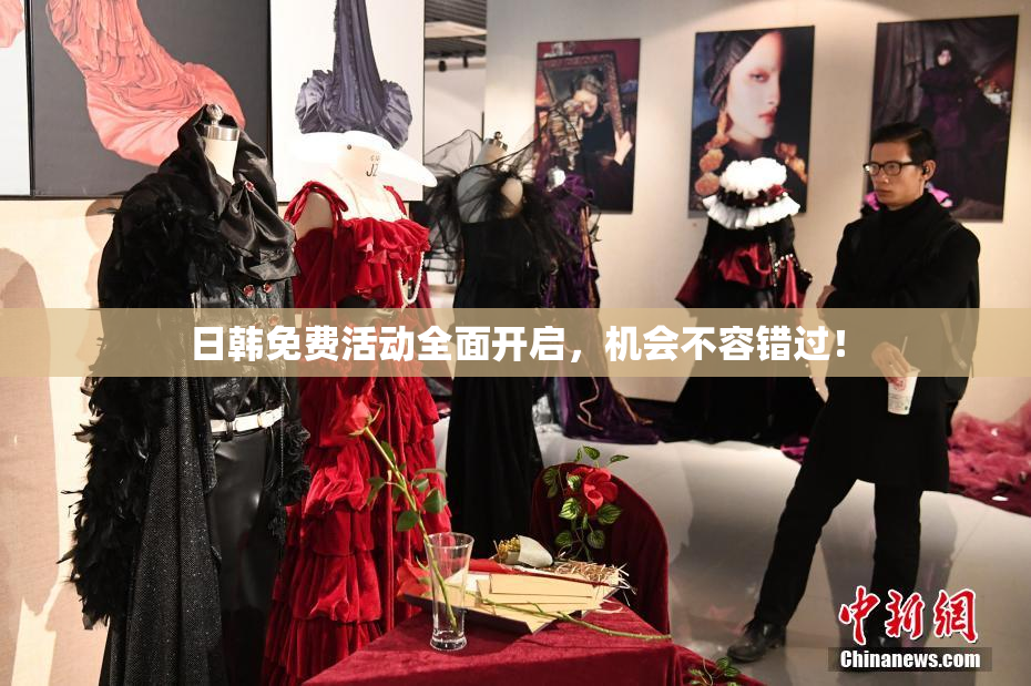 日韩免费活动全面开启，机会不容错过！