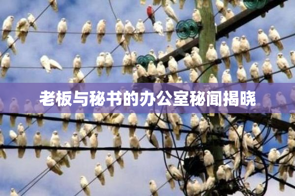 老板与秘书的办公室秘闻揭晓