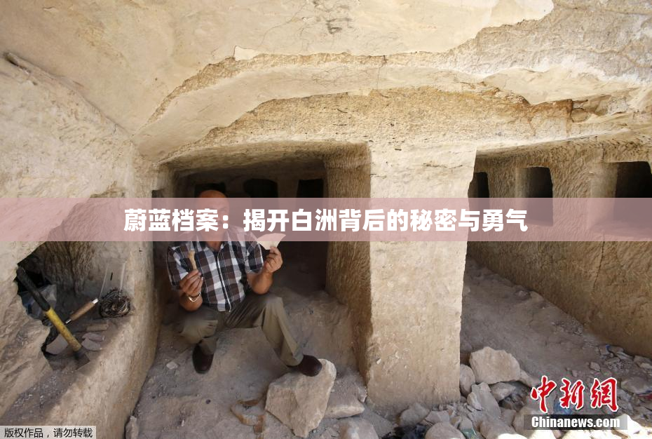 蔚蓝档案：揭开白洲背后的秘密与勇气