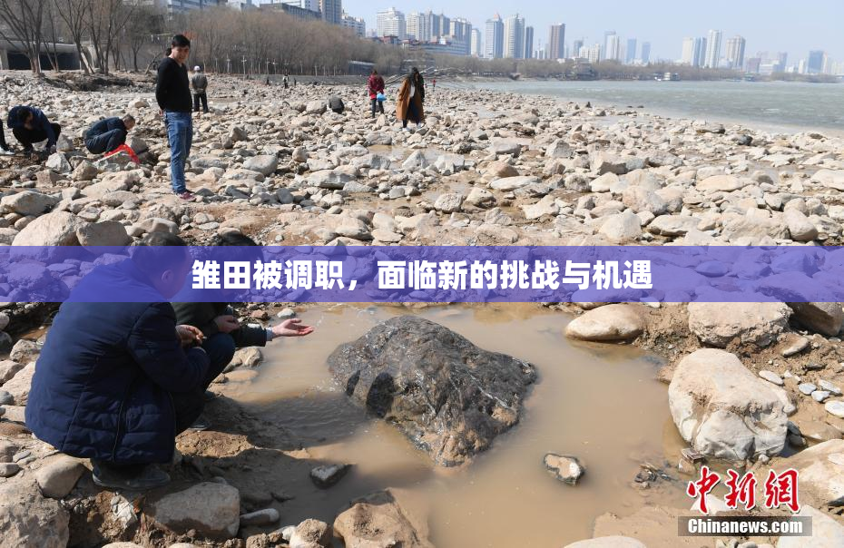 雏田被调职，面临新的挑战与机遇