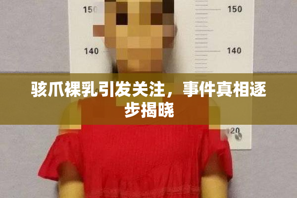 骇爪裸乳引发关注，事件真相逐步揭晓