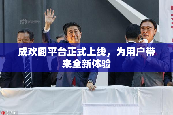 成欢阁平台正式上线，为用户带来全新体验