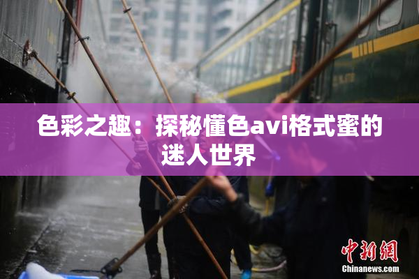 色彩之趣：探秘懂色avi格式蜜的迷人世界