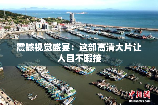 震撼视觉盛宴：这部高清大片让人目不暇接