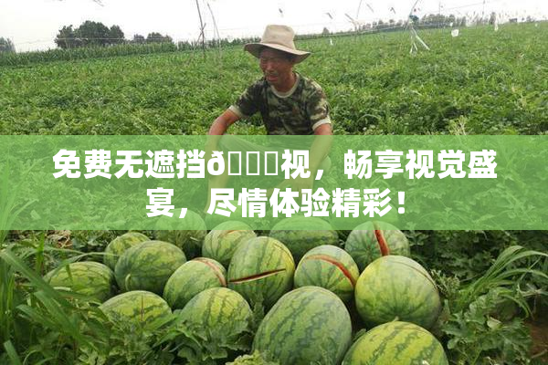 免费无遮挡🔞视，畅享视觉盛宴，尽情体验精彩！