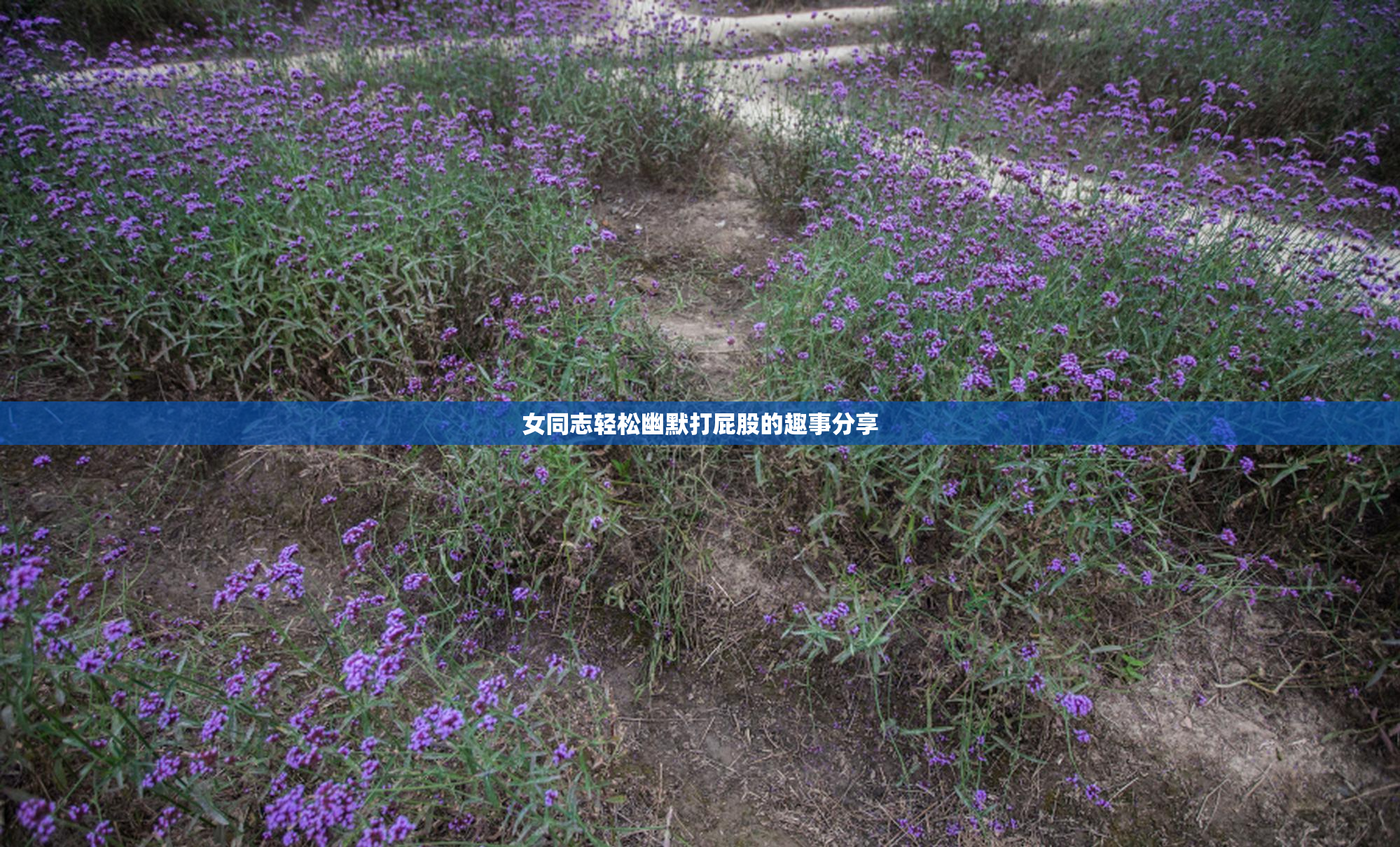 女同志轻松幽默打屁股的趣事分享