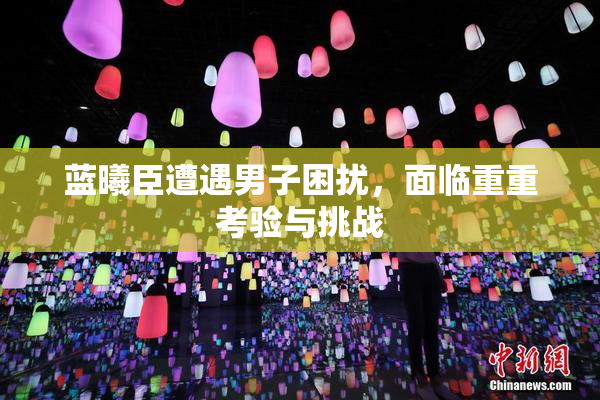 蓝曦臣遭遇男子困扰，面临重重考验与挑战