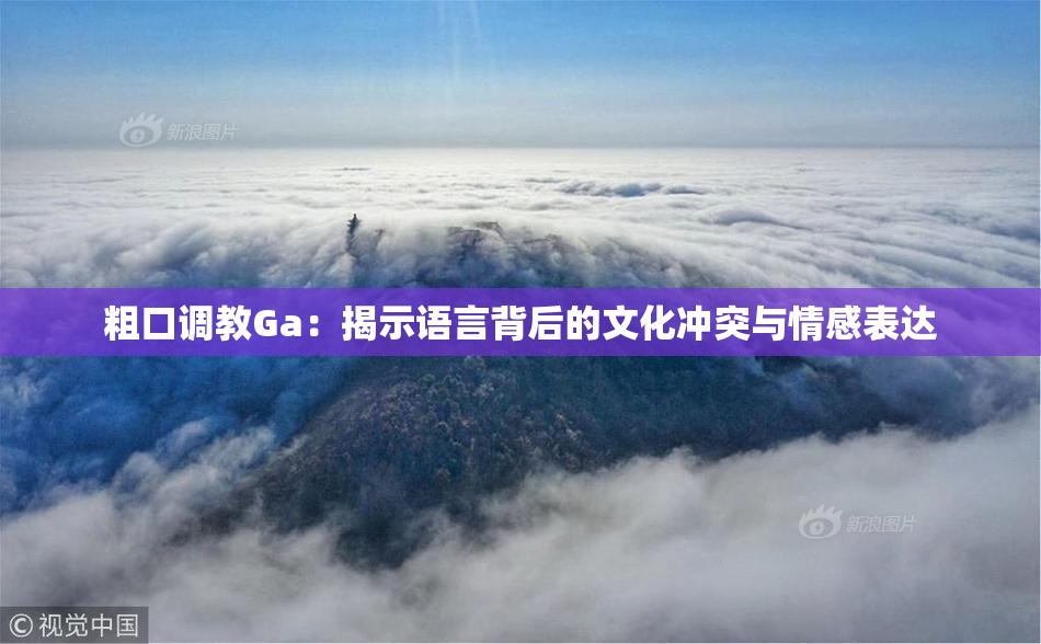 粗口调教Ga：揭示语言背后的文化冲突与情感表达