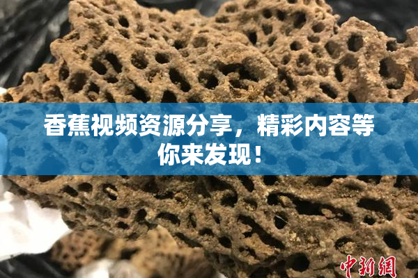 香蕉视频资源分享，精彩内容等你来发现！