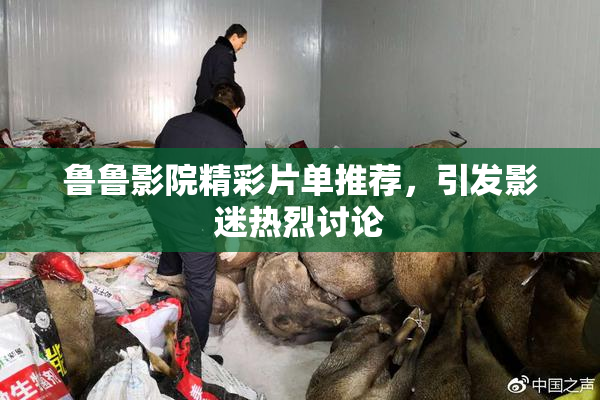 鲁鲁影院精彩片单推荐，引发影迷热烈讨论