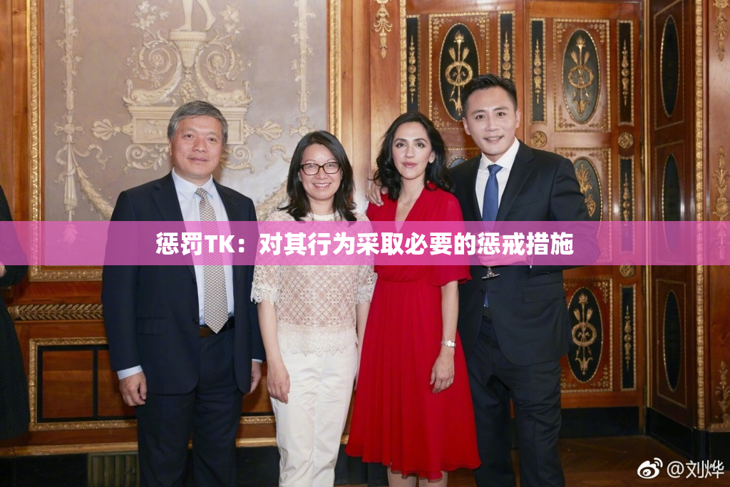 惩罚TK：对其行为采取必要的惩戒措施