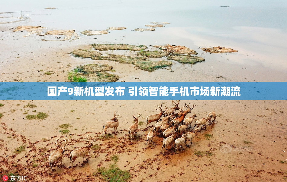 国产9新机型发布 引领智能手机市场新潮流
