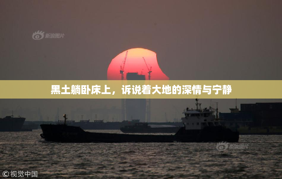 黑土躺卧床上，诉说着大地的深情与宁静