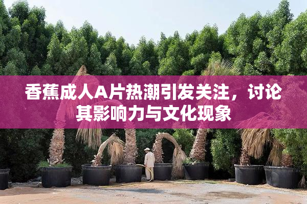 香蕉成人A片热潮引发关注，讨论其影响力与文化现象