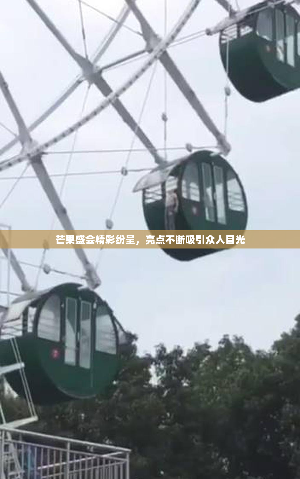 芒果盛会精彩纷呈，亮点不断吸引众人目光