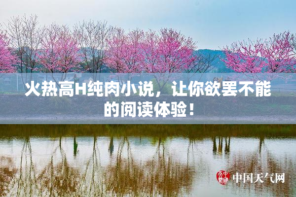 火热高H纯肉小说，让你欲罢不能的阅读体验！