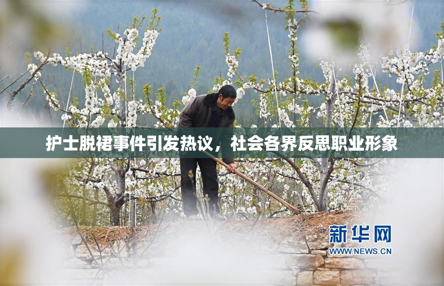 护士脱裙事件引发热议，社会各界反思职业形象