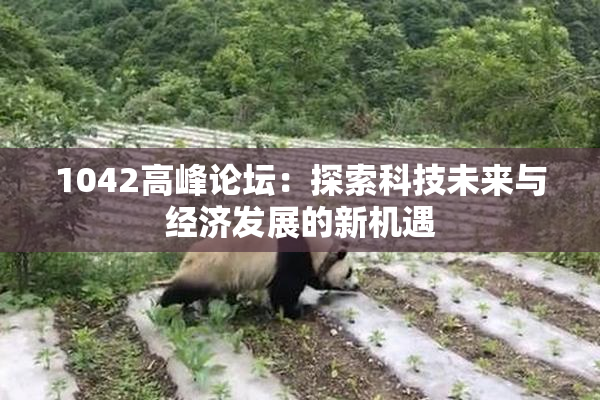 1042高峰论坛：探索科技未来与经济发展的新机遇