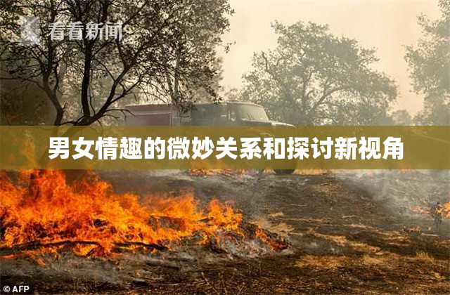 男女情趣的微妙关系和探讨新视角