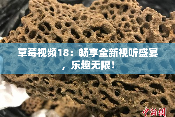 草莓视频18：畅享全新视听盛宴，乐趣无限！