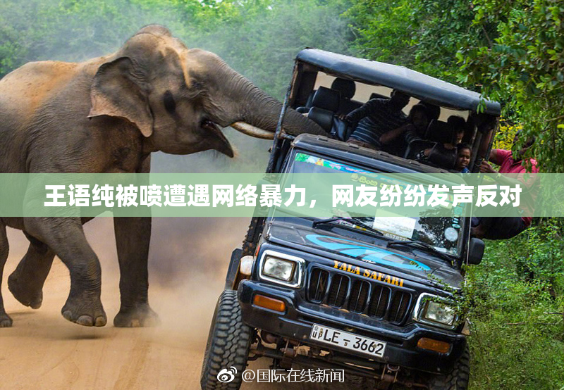 王语纯被喷遭遇网络暴力，网友纷纷发声反对