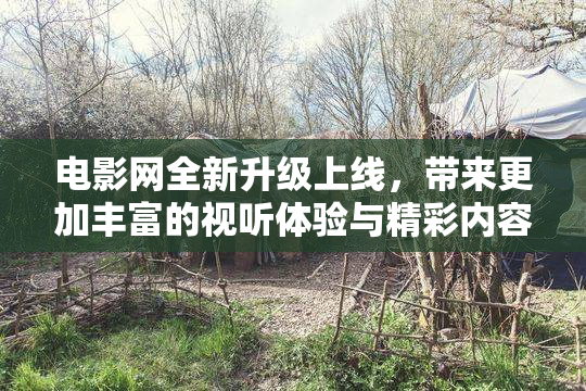 电影网全新升级上线，带来更加丰富的视听体验与精彩内容