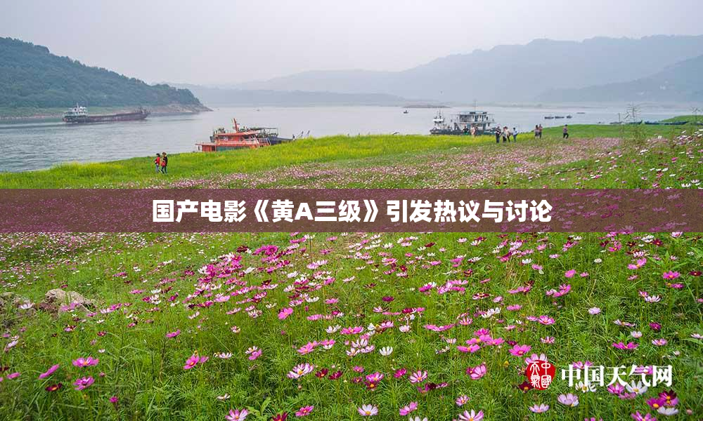 国产电影《黄A三级》引发热议与讨论
