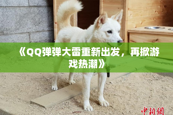 《QQ弹弹大雷重新出发，再掀游戏热潮》