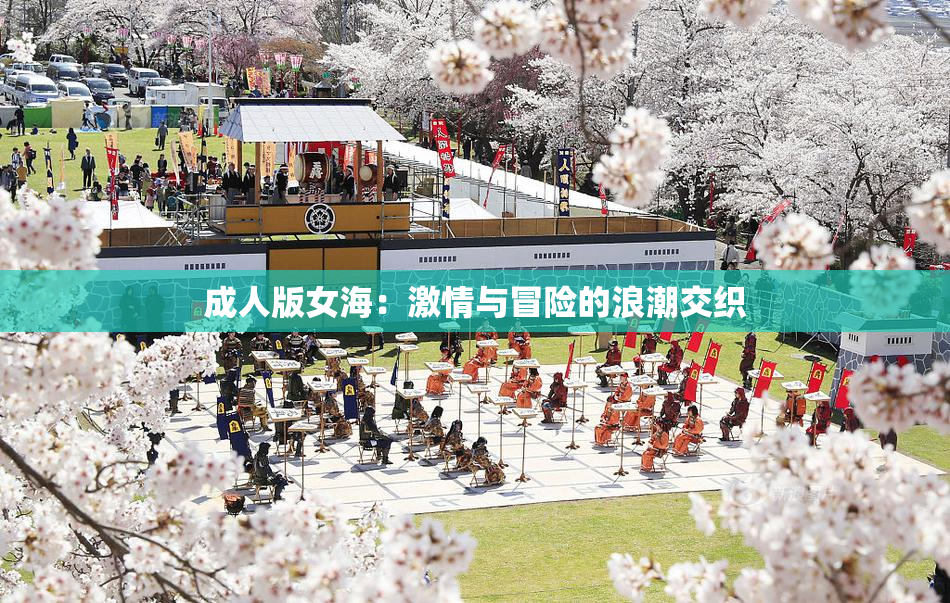 成人版女海：激情与冒险的浪潮交织