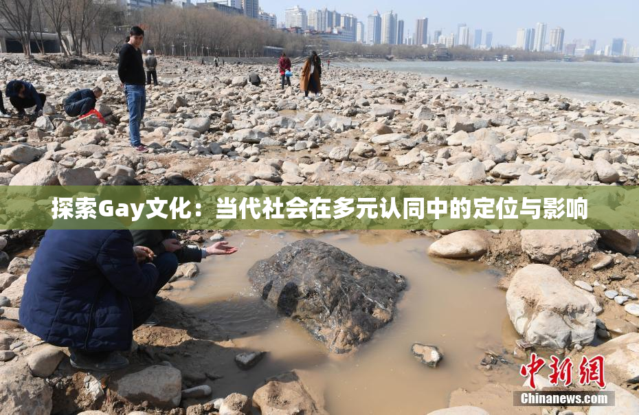 探索Gay文化：当代社会在多元认同中的定位与影响