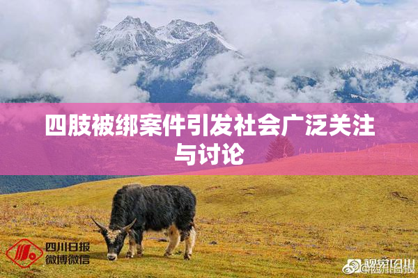 四肢被绑案件引发社会广泛关注与讨论