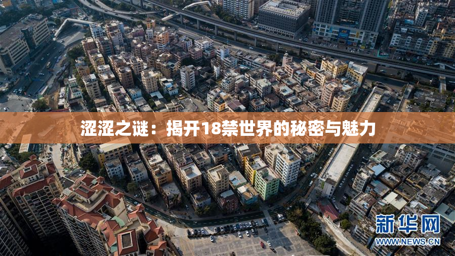 涩涩之谜：揭开18禁世界的秘密与魅力