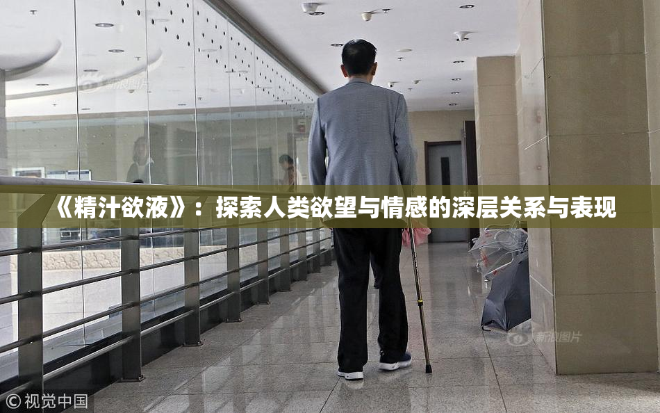 《精汁欲液》：探索人类欲望与情感的深层关系与表现