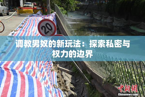 调教男奴的新玩法：探索私密与权力的边界