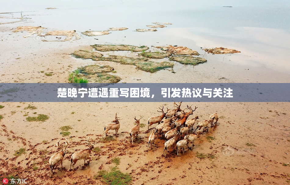 楚晚宁遭遇重写困境，引发热议与关注