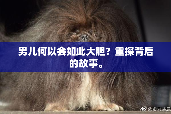男儿何以会如此大胆？重探背后的故事。