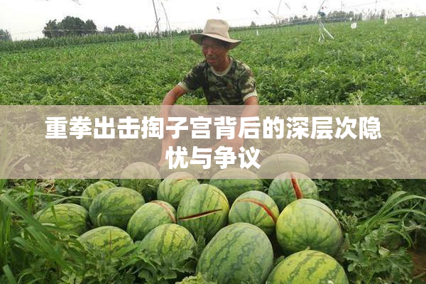 重拳出击掏子宫背后的深层次隐忧与争议
